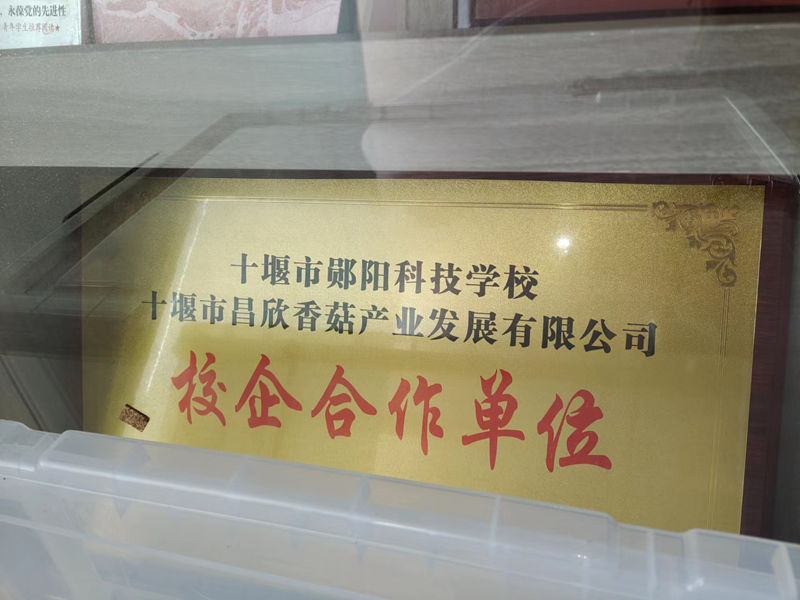 校企合作单元