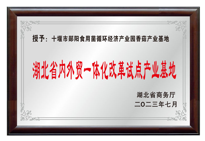 湖北省内外贸一体化鼎新试点产业基地