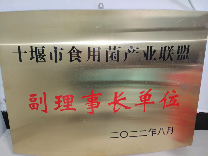 十堰市食用菌产业联盟副理事长单元