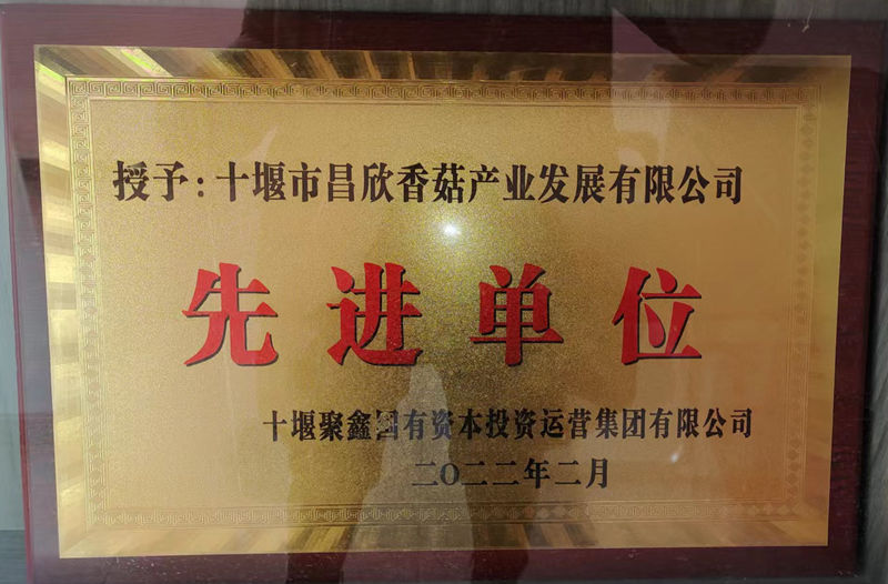 先进单元